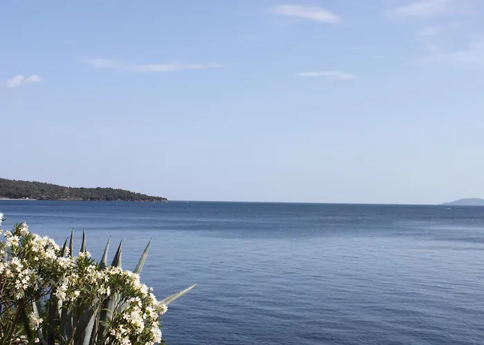 Aparthotel Akrotiri Neos Marmaras